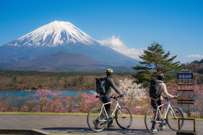 Cycling tourists looking at mt. Fuji during spring season at Lake Shojiko, Yamanashi, Fujikawaguchiko, Japan