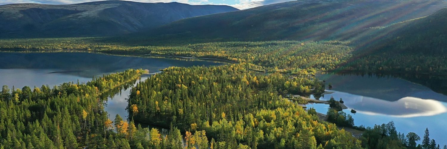forest lake top view, landscape nature view forest, background